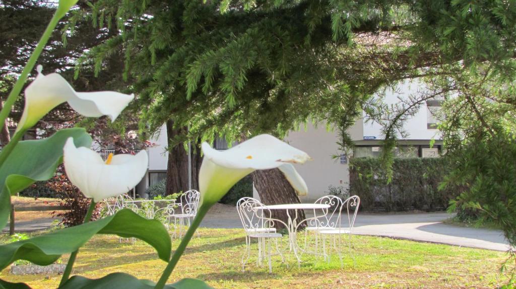 Arc En Ciel Oleron Hotel Saint-Trojan-les-Bains Kültér fotó